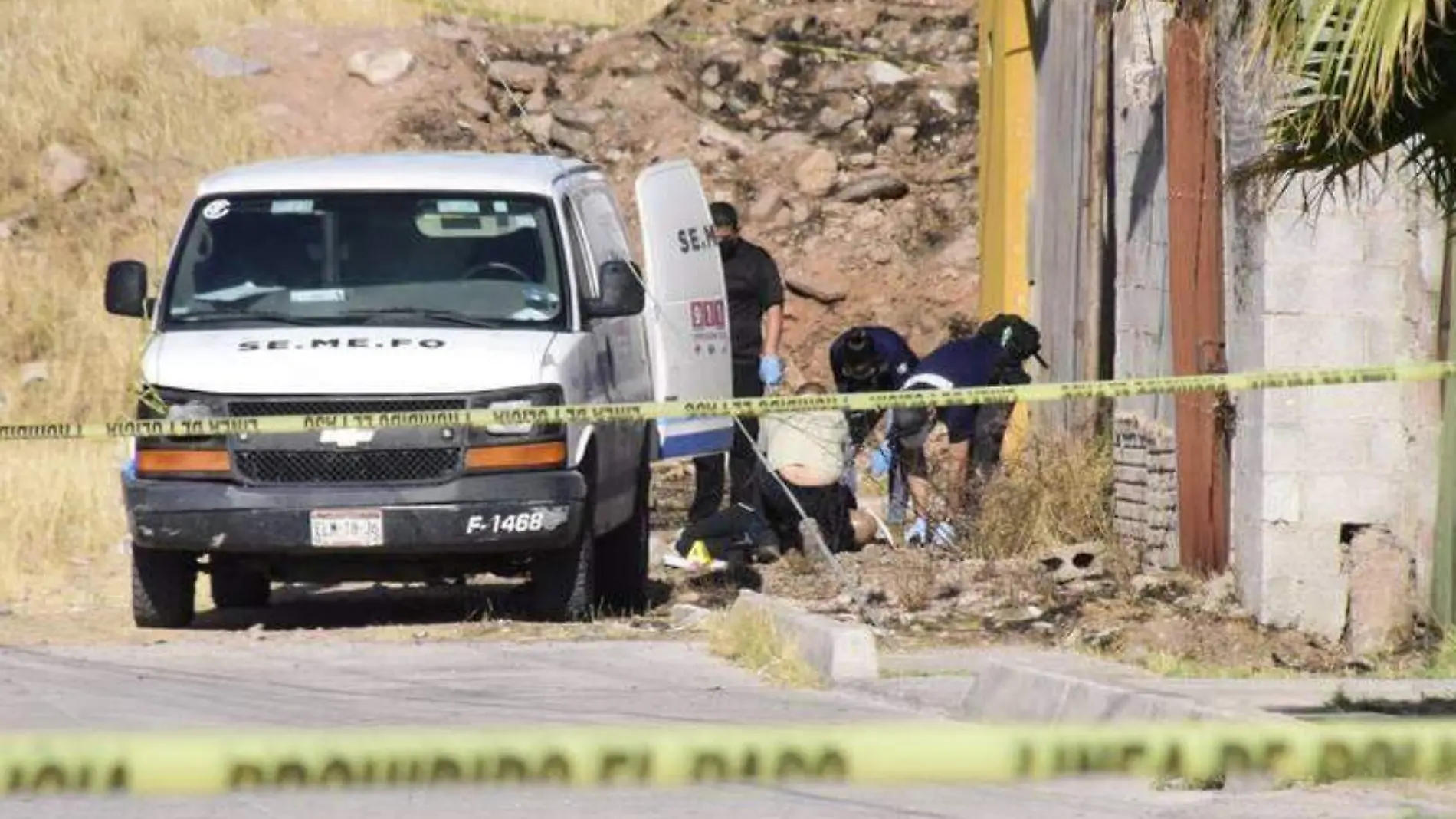 mujer asesinada en colonia 20 de noviembre